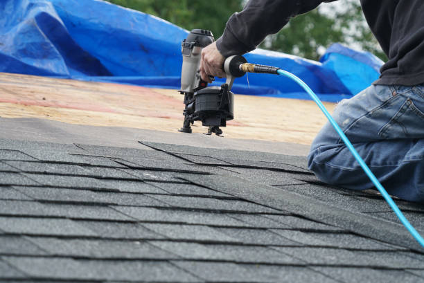 Best Roof Maintenance Services  in West Sharyland, TX
